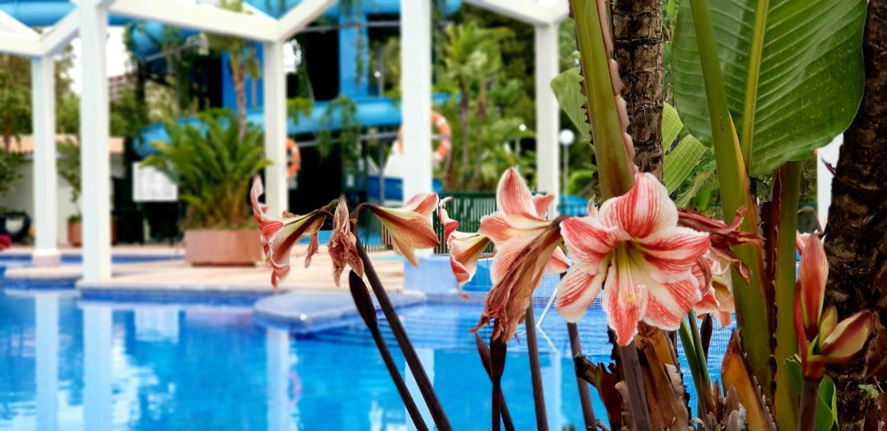 El Estudio De La Playa Benalbeach Holidays Deluxe ベナルマデナ エクステリア 写真