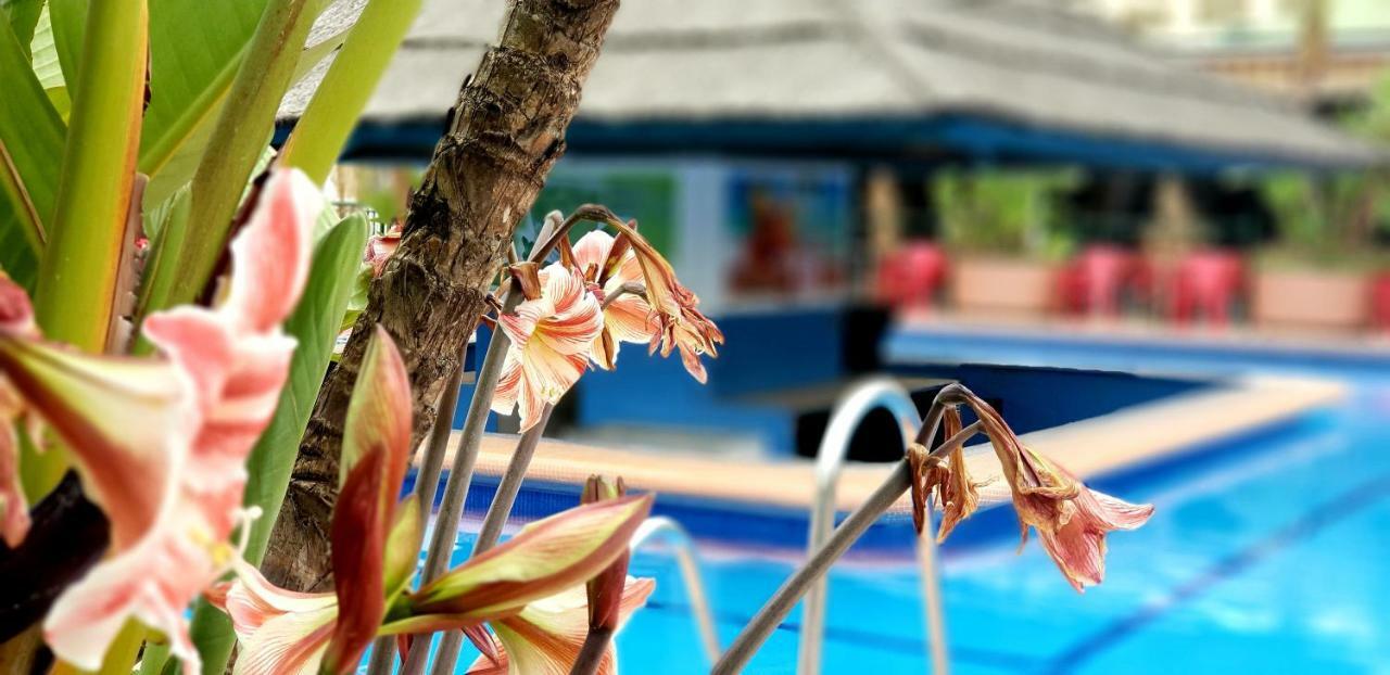 El Estudio De La Playa Benalbeach Holidays Deluxe ベナルマデナ エクステリア 写真